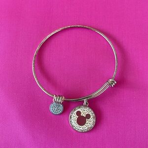 Beautiful Disney Alex and Ani